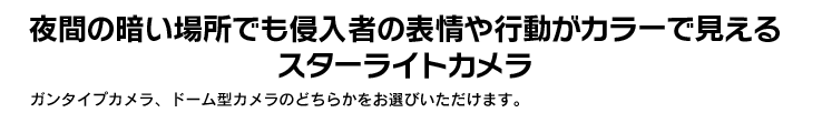 夜間の暗い場所でも侵入者の表情や行動がカラーで見えるスターライトカメラ